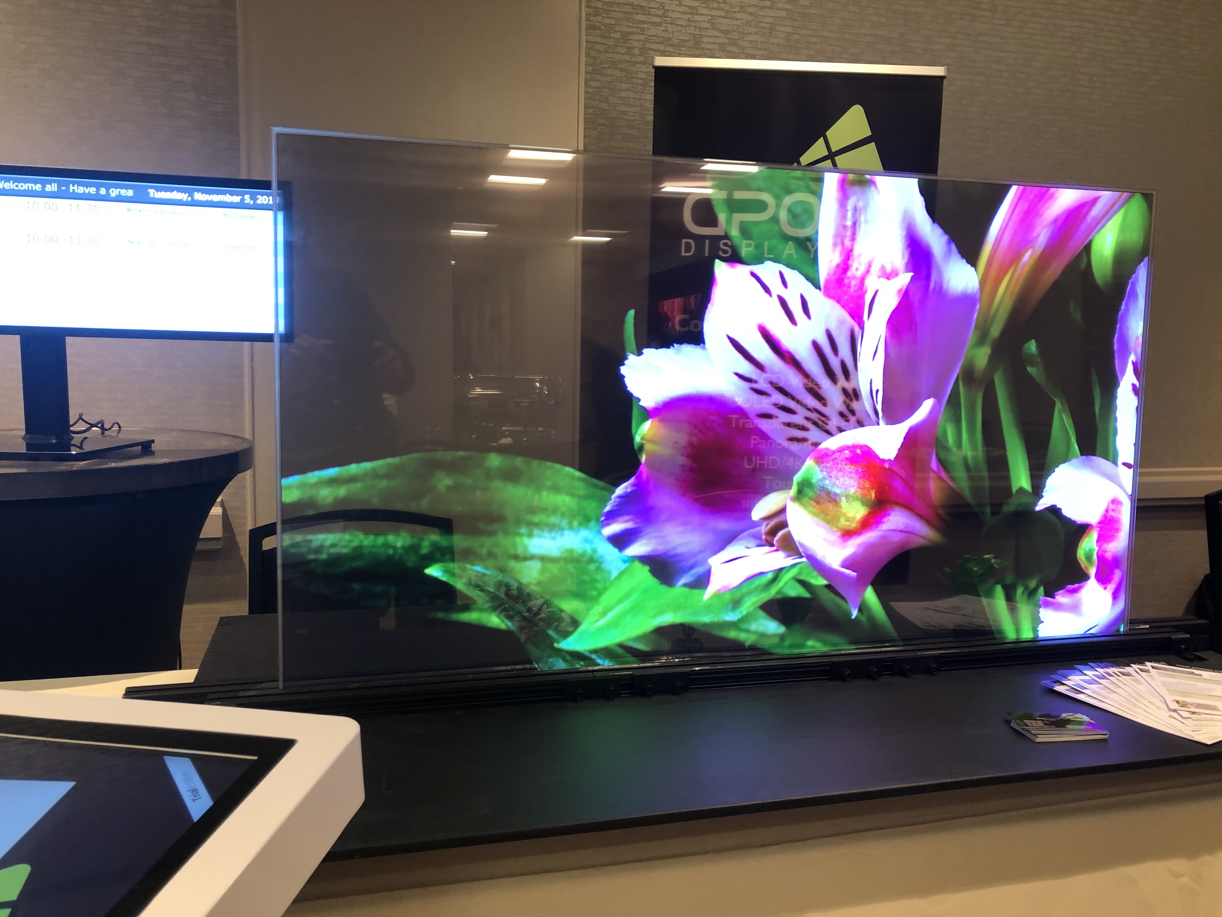 A GPO Display T-OLED showing a flower