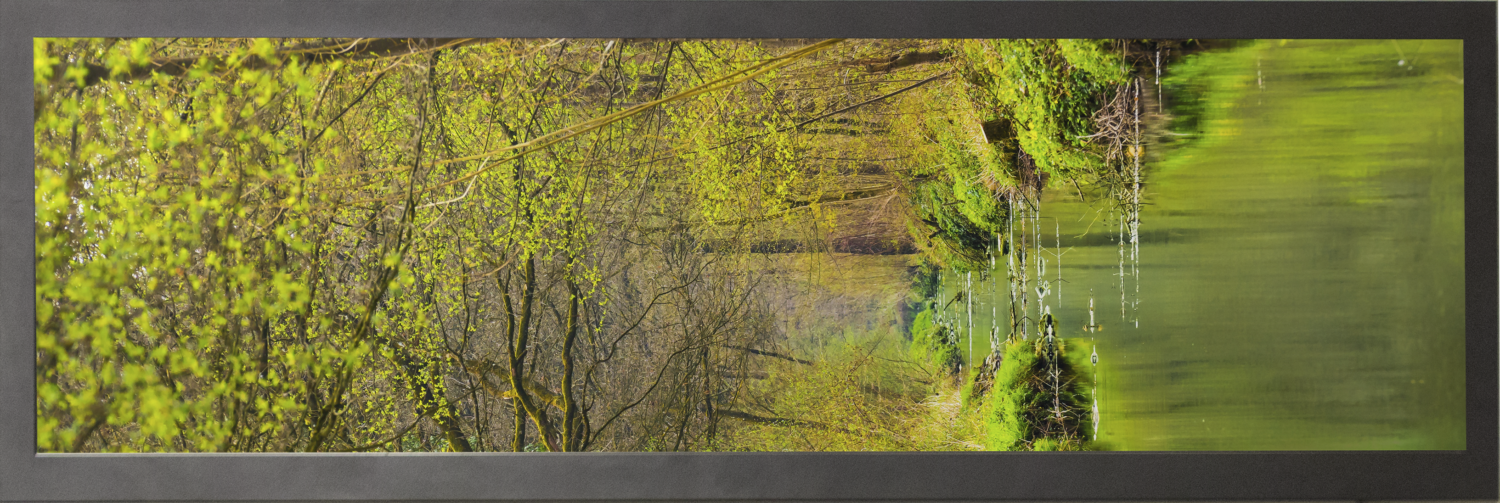 Panoramic stretch Display with the image of greenery on it.