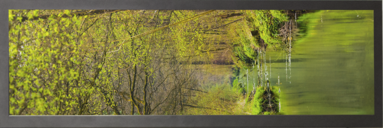 Panoramic stretch Display with the image of greenery on it.