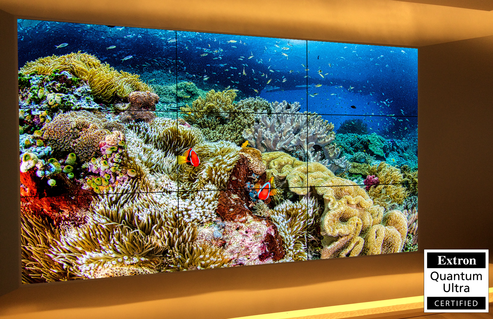 A three-by-three GPO display NEX-series video wall is shown with an image of the sea with coral and fish. It also has an "extra quantum ultra certifies" sticker in the bottom left hand corner.