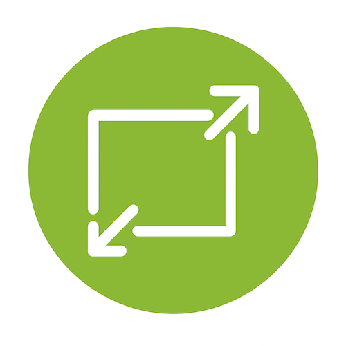 Resize icon