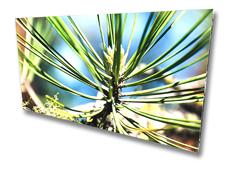 Image of Direct View LED, model DVLC125